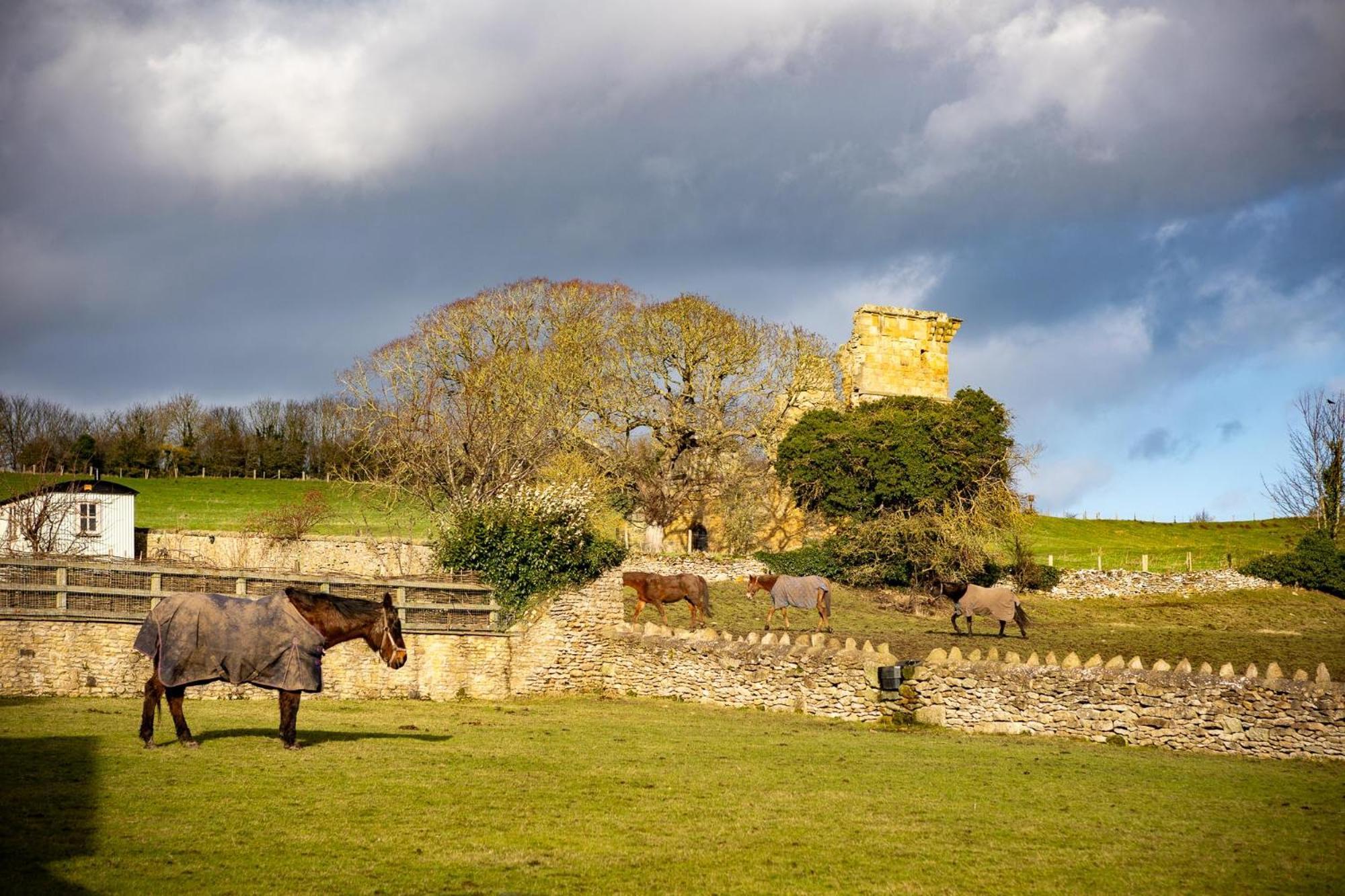 Yew Tree Holiday home East Ayton